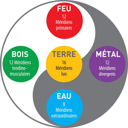 Visioconférence sur les 5 Systèmes de méridiens