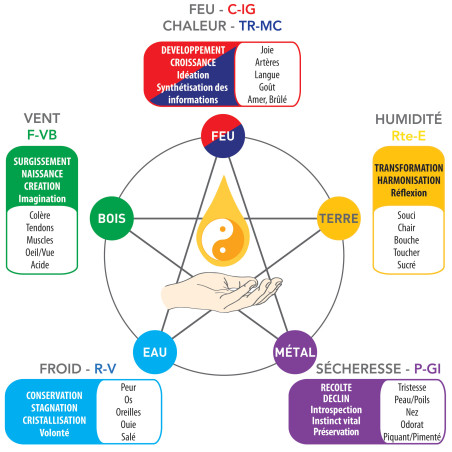 Visioconférence sur les 5 Systèmes de méridiens