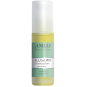 Lotion élixir synergie apaisante - douceur camomille