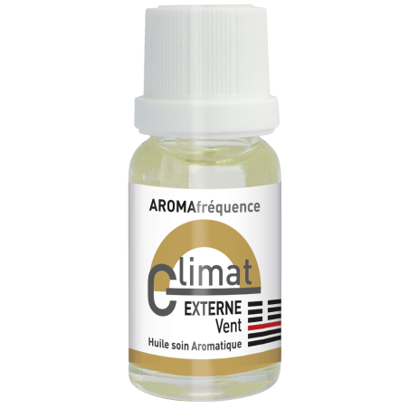 Climat Externe Vent