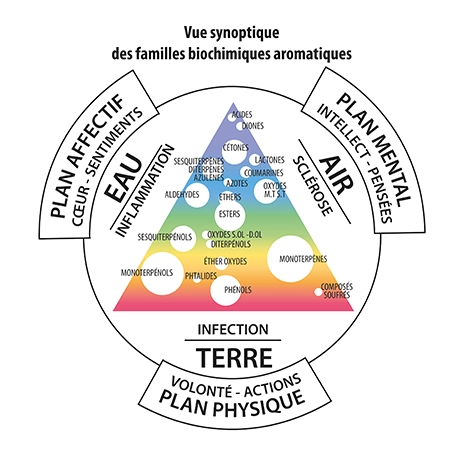 Aromathérapie Vibratoire, dimension énergétique des huiles essentielles