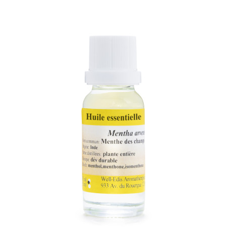 Huile Essentielle de Menthe des champs