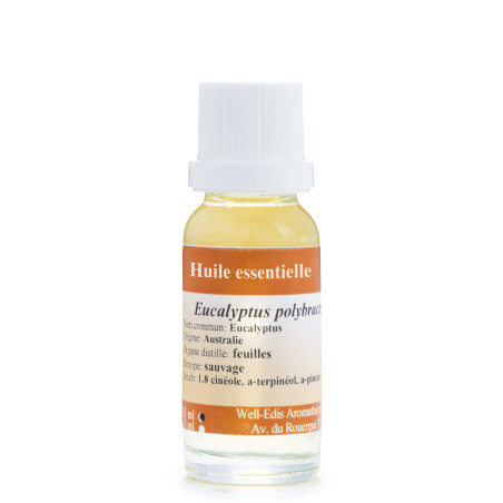 Huile Essentielle d'Eucalyptus polybractea