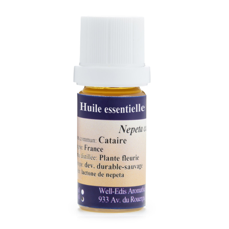Huile Essentielle de Cataire