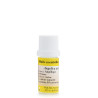 Huile Essentielle d'Angélique 5ml